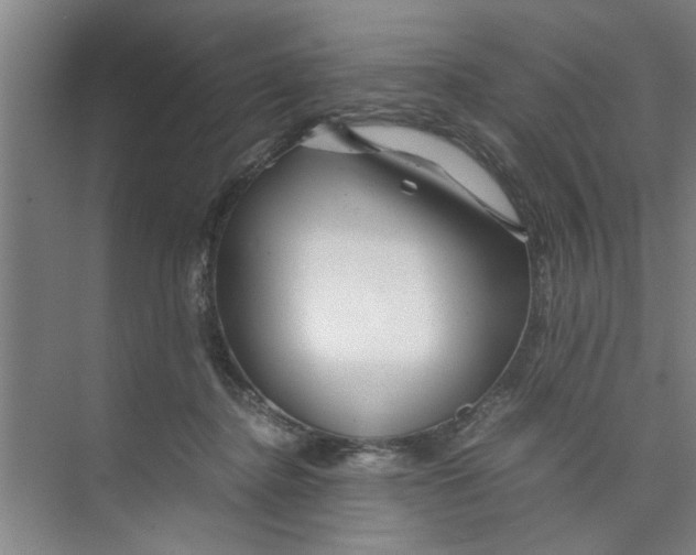 X0000071970364200608041652
