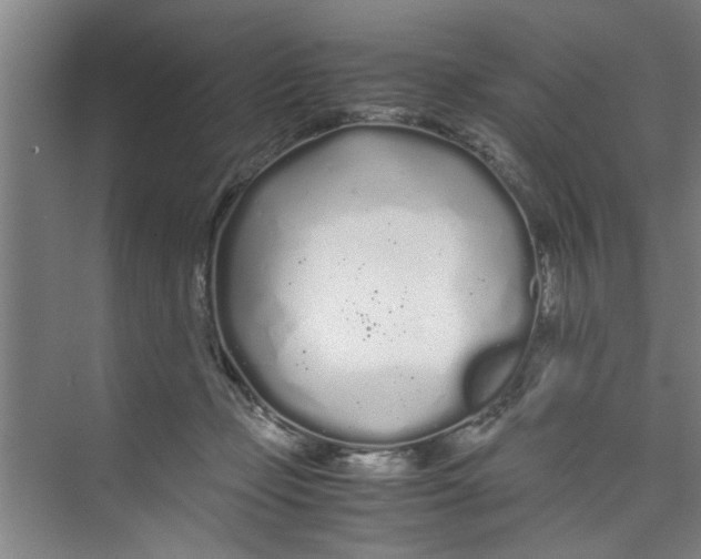 X0000071970365200608041652