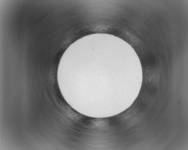 X0000071970370200608041652