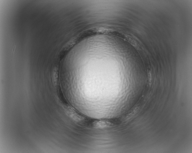 X0000071970372200608041652