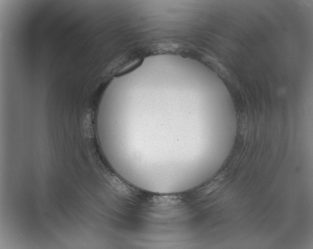 X0000071970378200608041652