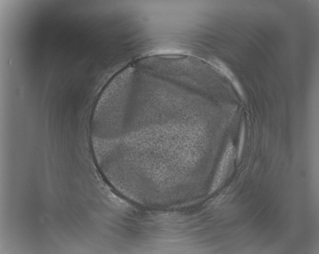 X0000071970385200608041651