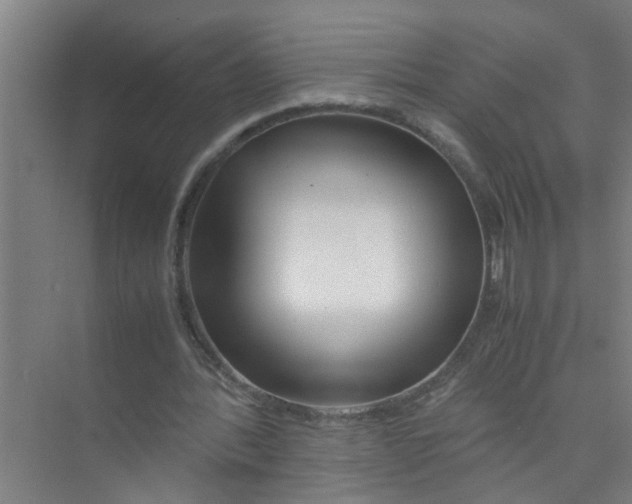 X0000071970388200608041651
