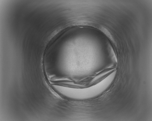 X0000071970389200608041651