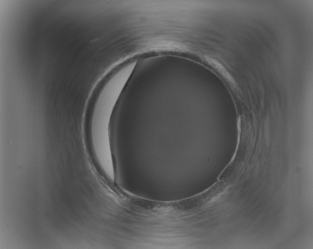 X0000071970391200608041651