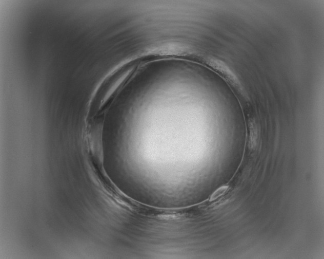 X0000071970392200608041651