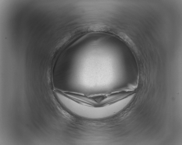 X0000071970393200608041651