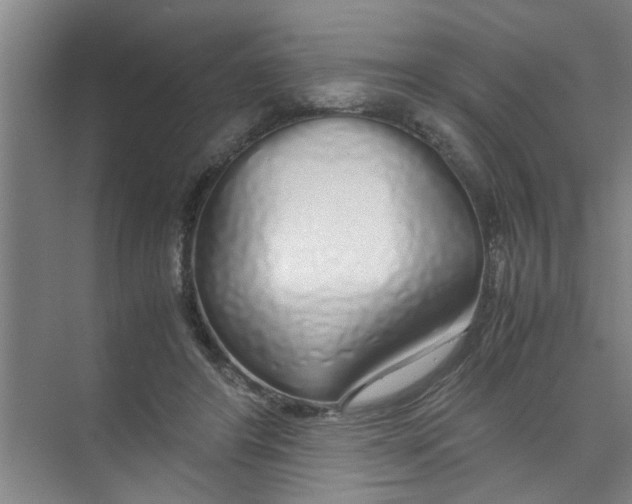 X0000071970404200608041651