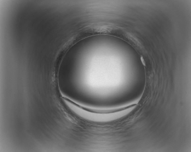 X0000071970407200608041651