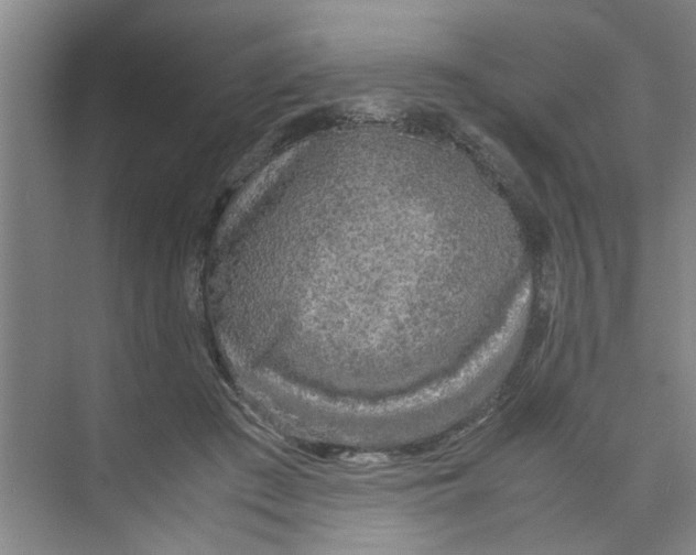 X0000071970409200608041651