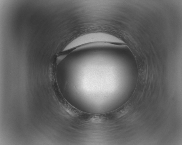 X0000071970416200608041651