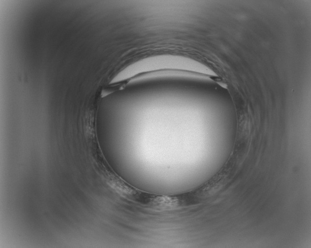 X0000071970421200608041651
