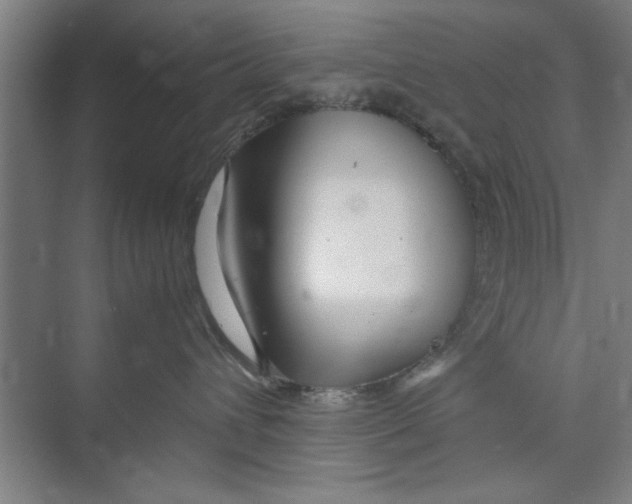 X0000071970432200608041650