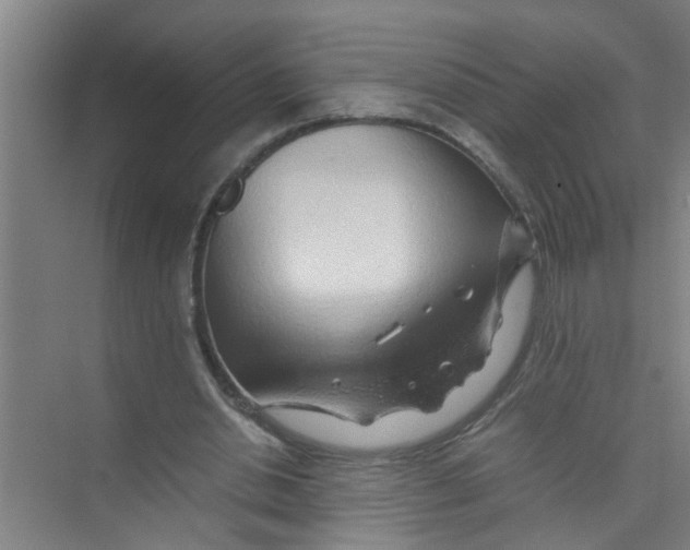 X0000071970438200608041650