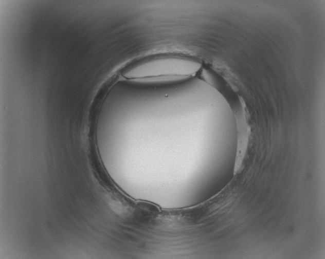 X0000071970440200608041650