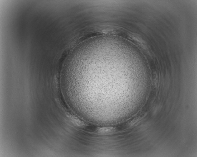 X0000071970461200608041650
