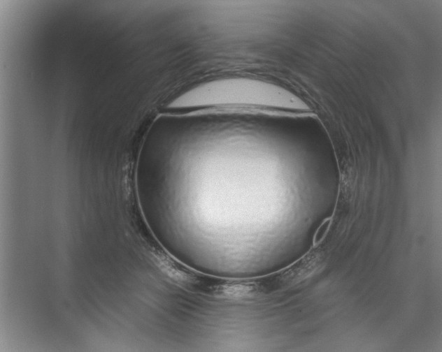X0000071970462200608041650