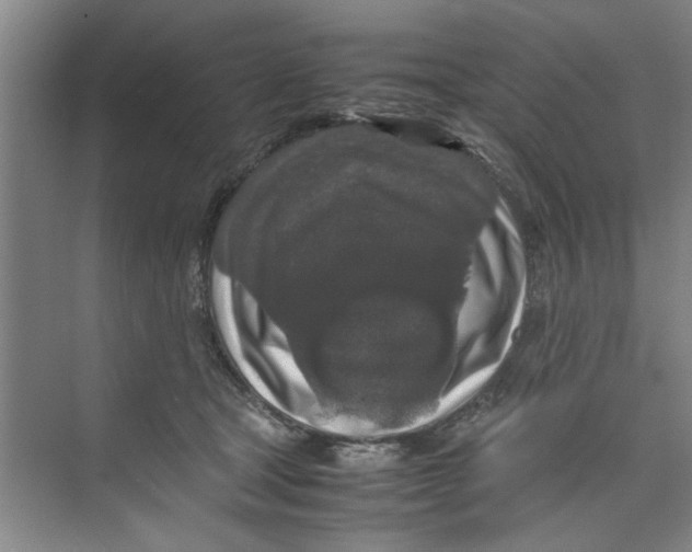 X0000071970465200608041650