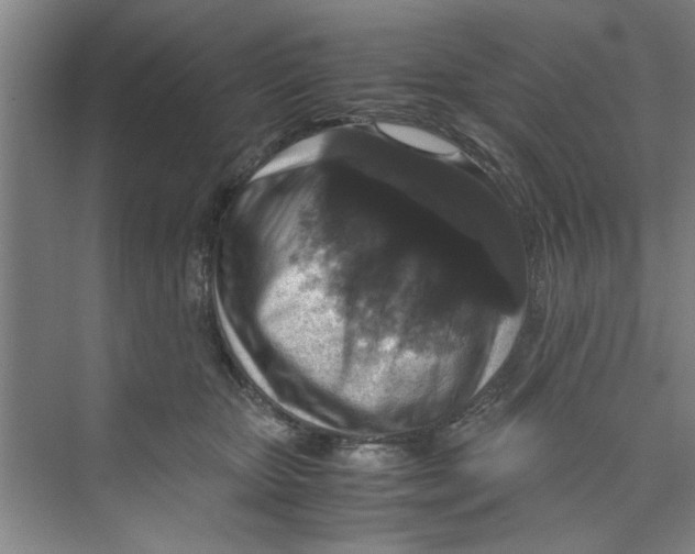 X0000071970467200608041650