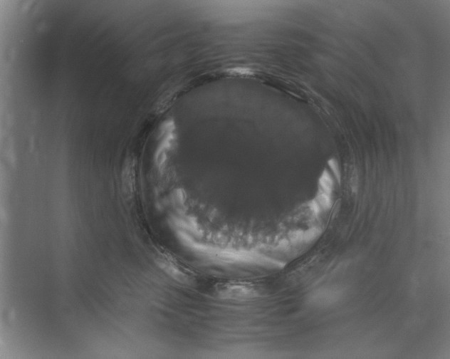 X0000071970475200608041650