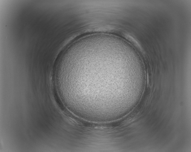 X0000071970483200608041650