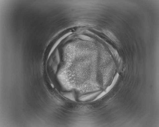 X0000071970488200608041649