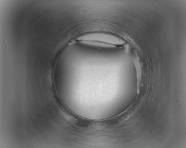 X0000071970489200608041649