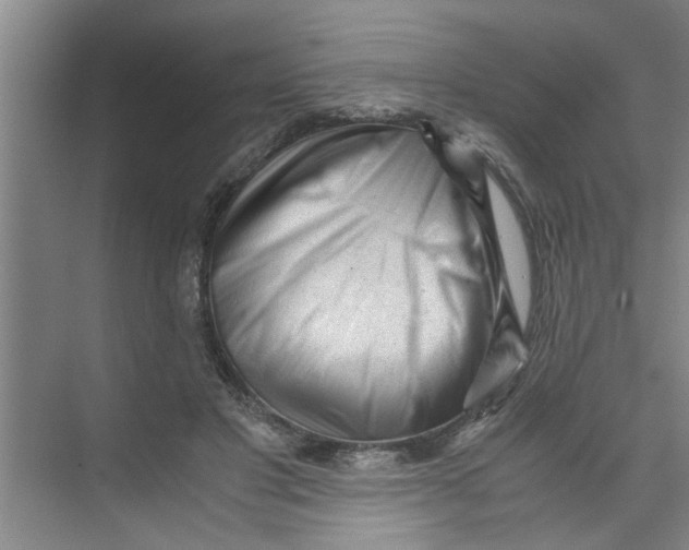 X0000071970501200608041649