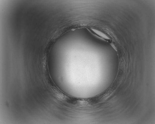 X0000071970509200608041649