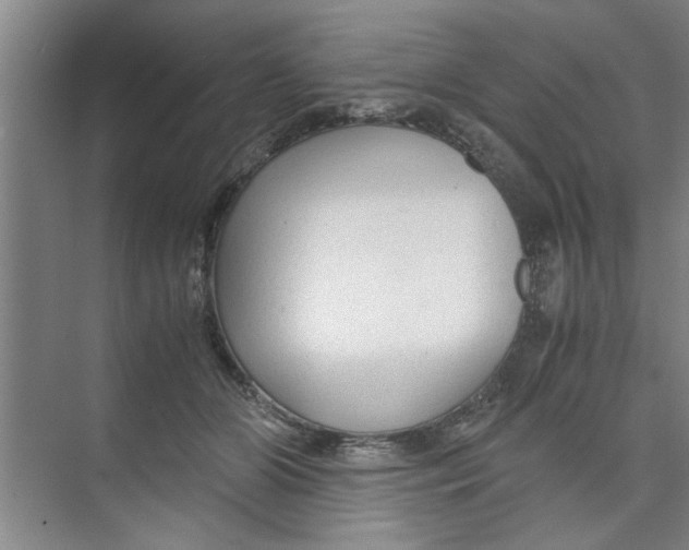 X0000071970510200608041649