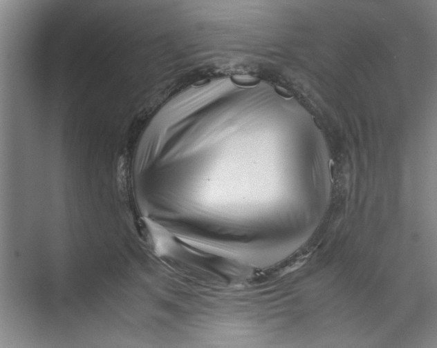 X0000071970513200608041649