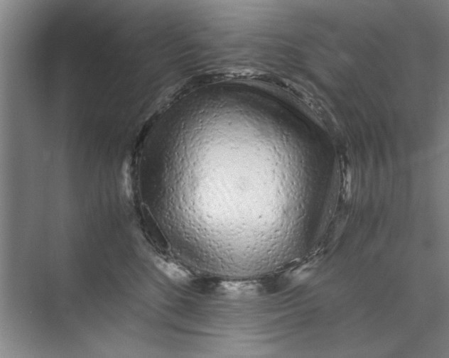 X0000071970520200608041649