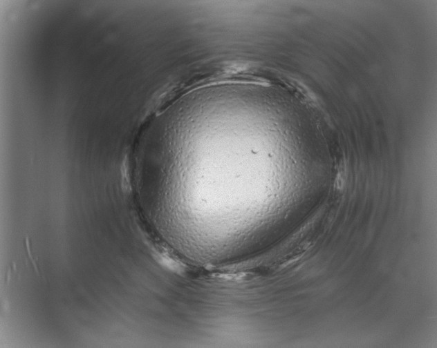 X0000071970524200608041649