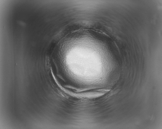X0000071970528200608041649