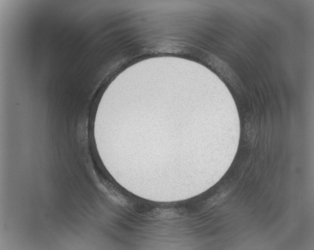 X0000071970534200608041648