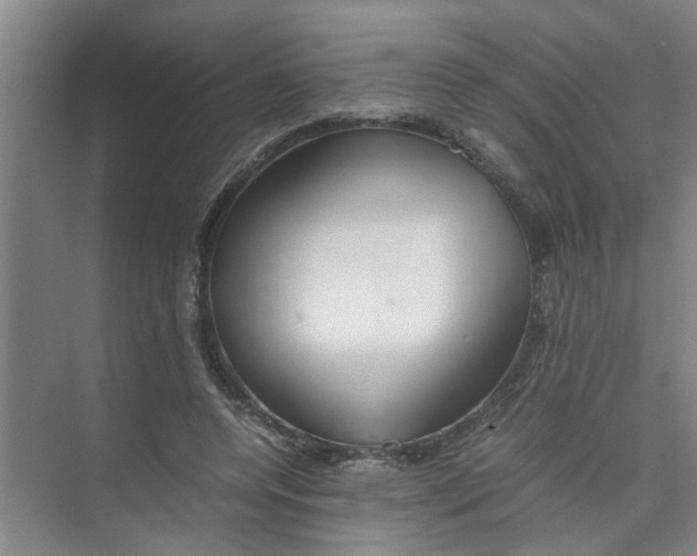 X0000071970544200608041648