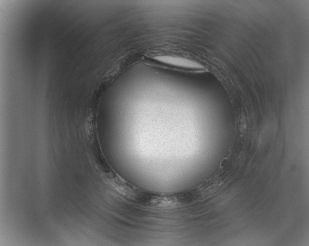 X0000071970559200608041649