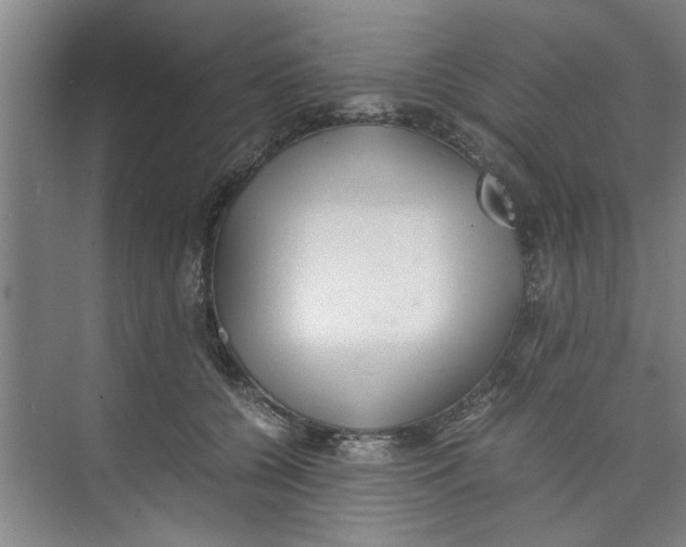 X0000071970560200608041649