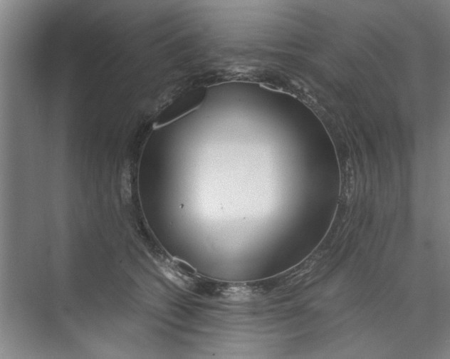 X0000071970562200608041649