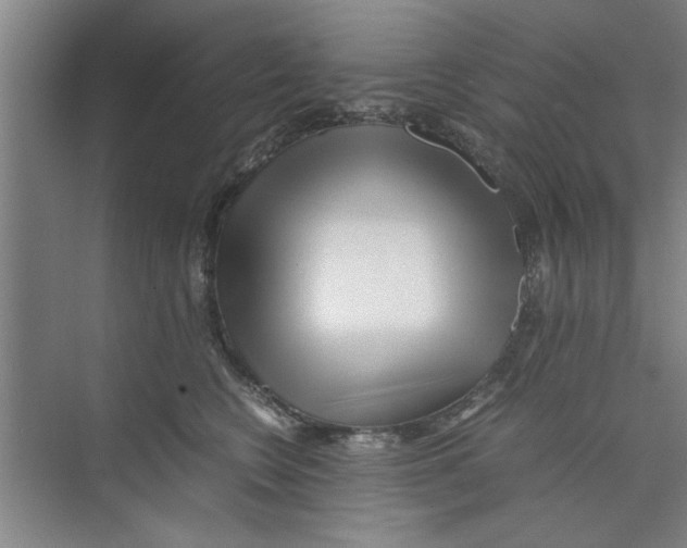 X0000071970566200608041649