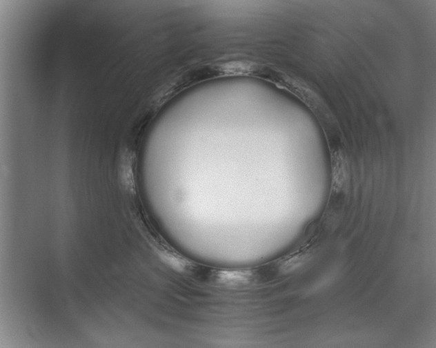 X0000071970573200608041649