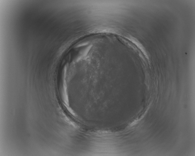 X0000071970577200608041648