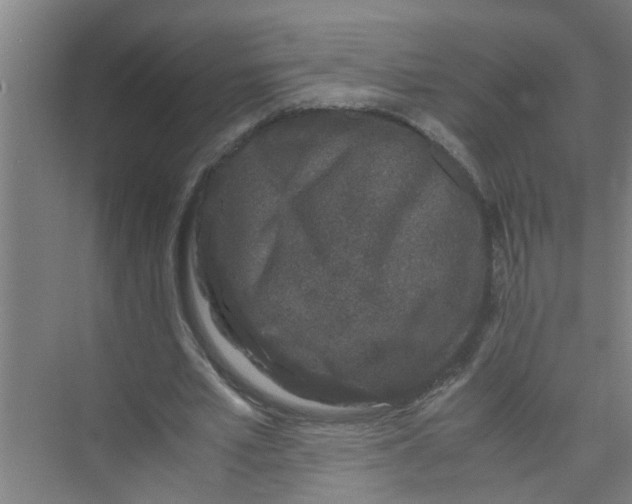 X0000071970581200608041648