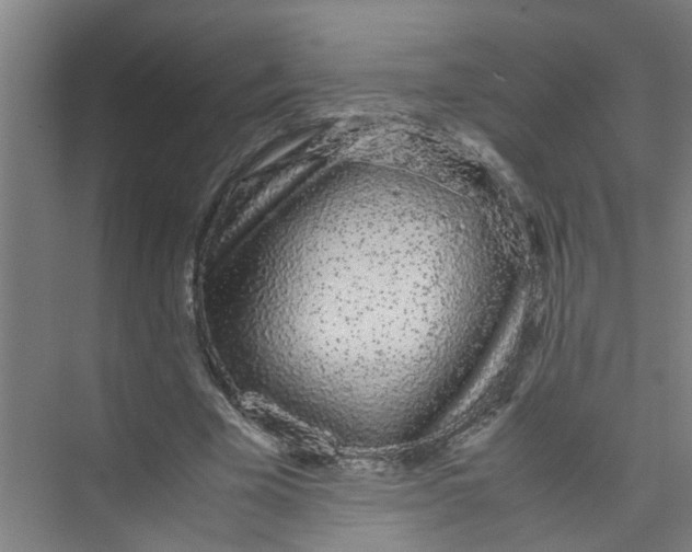 X0000071970585200608041648