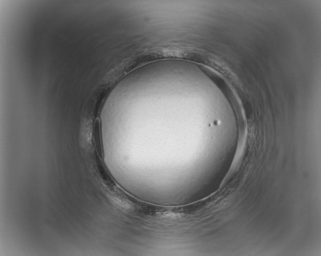 X0000071970593200608041648