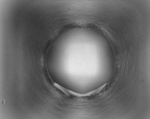X0000071970597200608041648