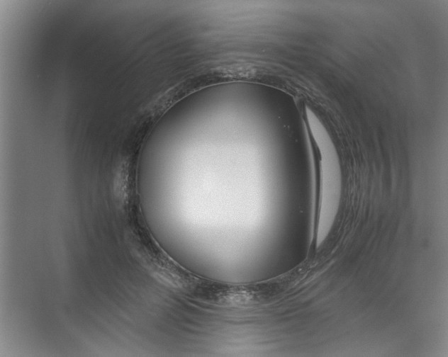 X0000071970600200608041648