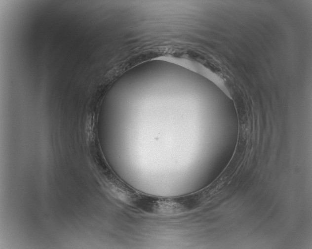 X0000071970605200608041648