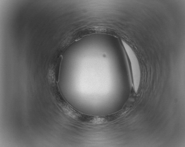 X0000071970609200608041647