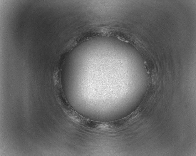 X0000071970611200608041647